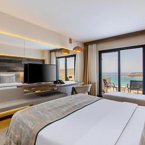 Superior Kamer met een King Size Bed